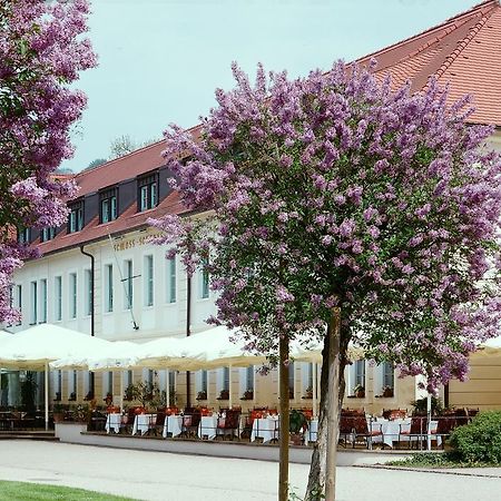 Schloss Hotel Dresden Pillnitz Kültér fotó